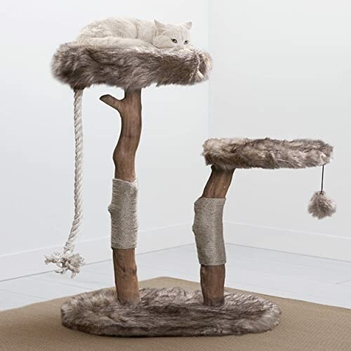 Cat lounging on a multi-level furry cat tree with scratching posts
