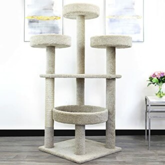 Main Coon Cat Tower
