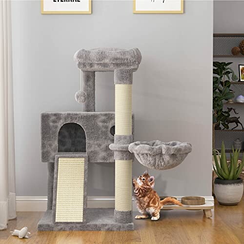 Gray cat tree with a kitten playing at the base.