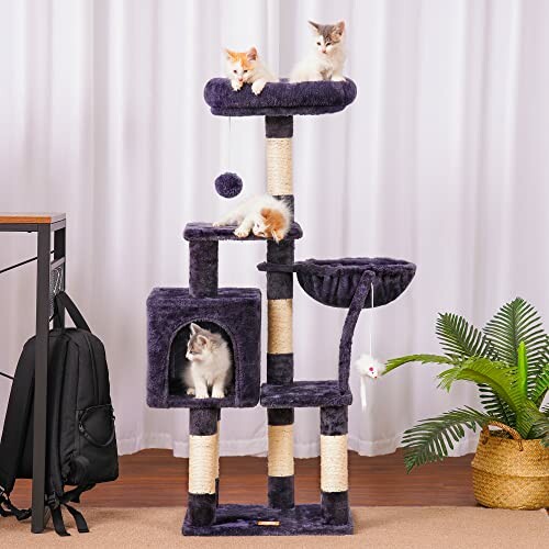 Tall cat tree with kittens playing and resting
