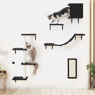 Cats playing on wall-mounted climbing shelves.