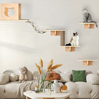 Cat Wall Shelves