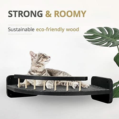 Cat lounging on a wall-mounted shelf made of sustainable wood, with a plant nearby