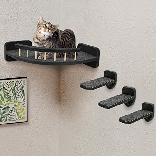 Cat sitting on a wall-mounted shelf with steps