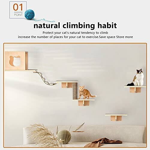 Cats on wall-mounted shelves with climbing features