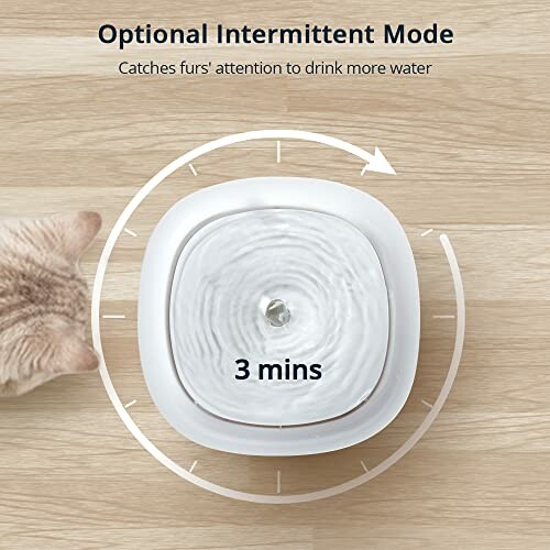 Cat water fountain with intermittent mode setting, showing timer and cat nearby.