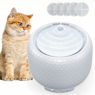 LIFETAIL Cat Water Fountain