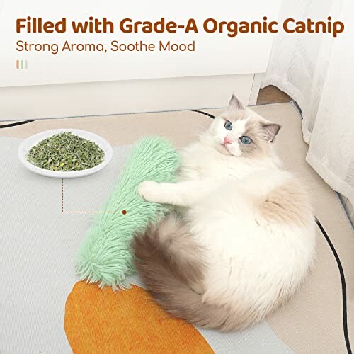 Fluffy cat with green catnip toy on rug.