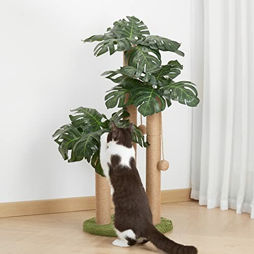 Cat playing with a palm tree scratching post indoors.