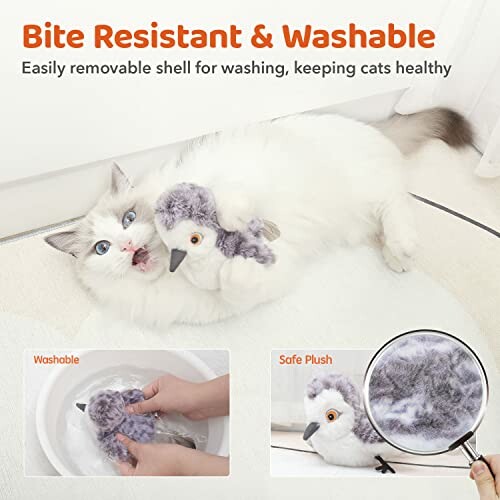 Cat playing with a plush toy and washing instructions.