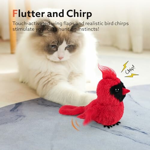 Flapping Cardinal Cat Toy