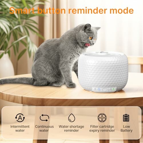 Gray cat sitting by a white water dispenser on a table.