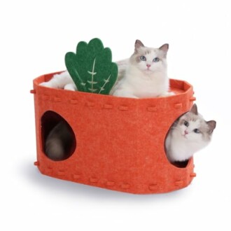 Cat Cave for Multiple Cats