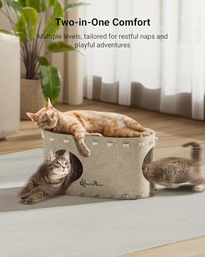 Three cats lounging on a multi-level cat bed in a sunlit room.