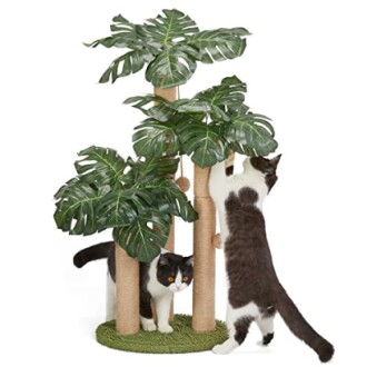 31.5Inch Cat Scratching Post