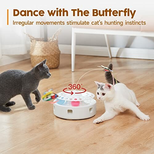 Two cats playing with a rotating butterfly toy indoors.