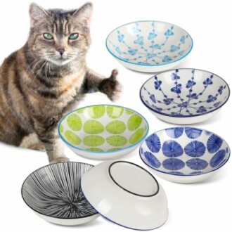 Cat Bowls for Indoor Cats
