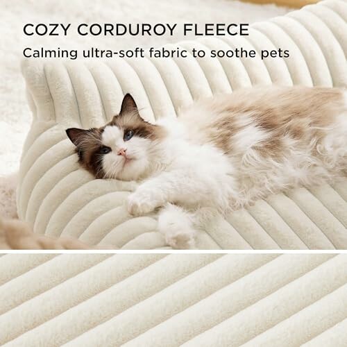 Fluffy cat resting on cozy corduroy fleece fabric