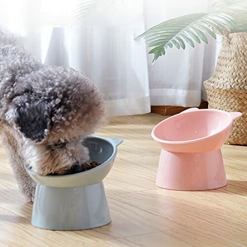 Small dog eating from a tilted food bowl next to an empty pink bowl.
