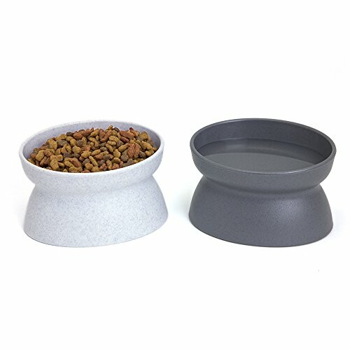 Elevated pet bowls, one filled with kibble, one empty.