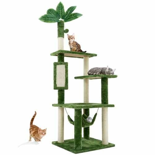 Cats on a green cat tree with multiple platforms and a hammock.