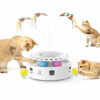 Cat with interactive toy