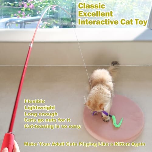 Cat playing with a toy wand on a circular mat.