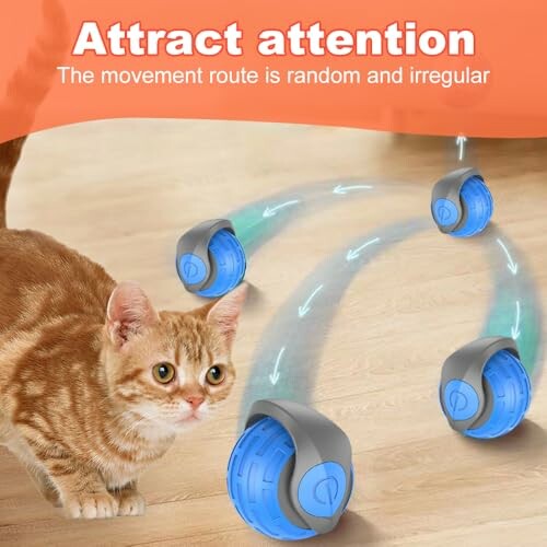 Cat playing with a moving ball toy on the floor.
