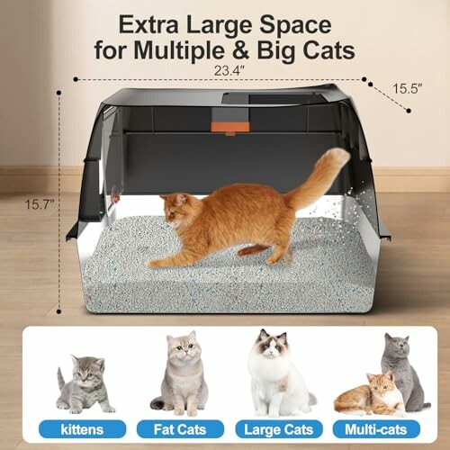 Extra large cat litter box with a ginger cat inside, suitable for multiple and big cats.
