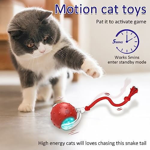 Cat playing with a motion-activated toy ball.