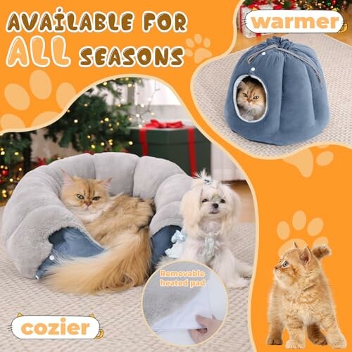 Pet beds for all seasons with cats and dog.