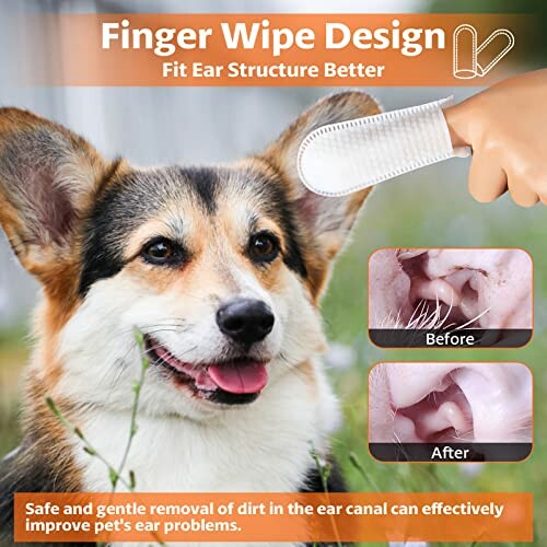 Pet ear cleaning wipe demonstration with dog and before-after images.