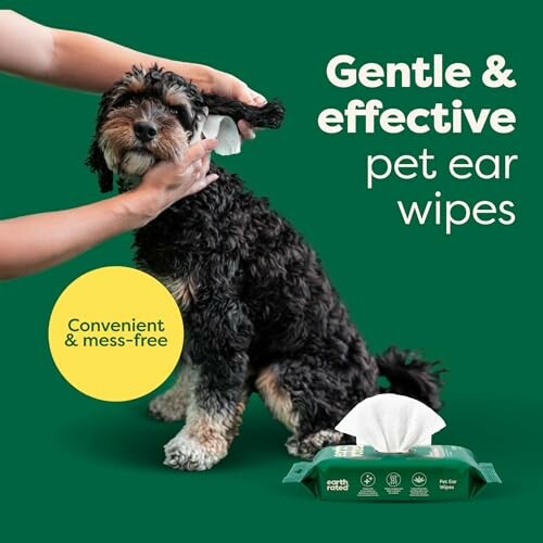 Dog having ears cleaned with pet ear wipes.