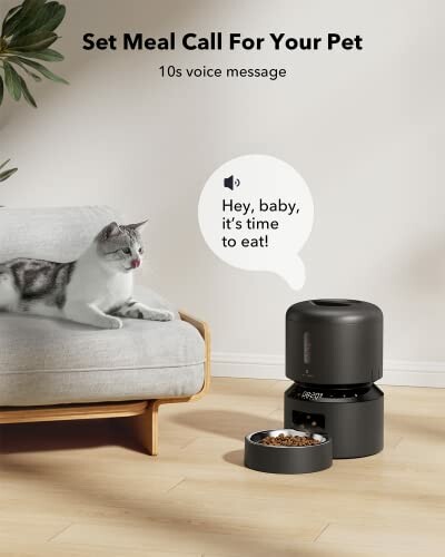 Cat sitting on couch next to automatic pet feeder with voice message.