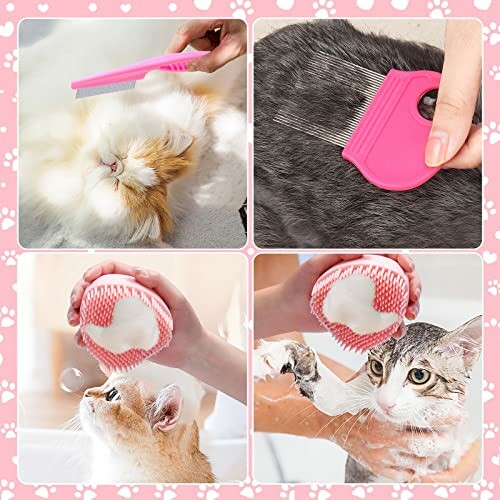 Collage of pet grooming tools and activities for cats.