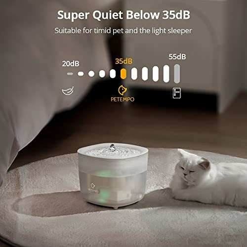 Quiet water fountain on carpet with a sleeping white cat nearby.
