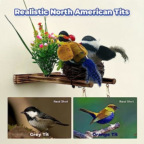 LEWISER Chirping Tit Cat Toys