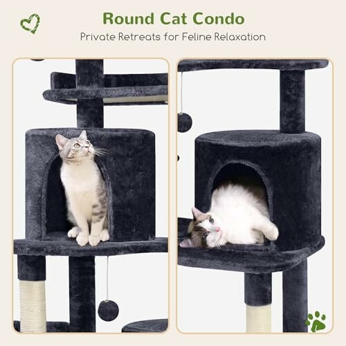 Two cats enjoying a round cat condo with play features.