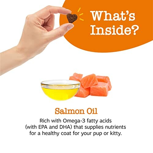 Hand holding treat, salmon chunks, and salmon oil for pets.