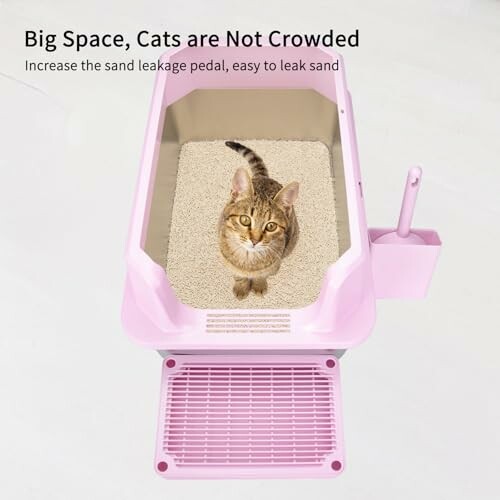 Cat sitting in a spacious pink litter box with sand.