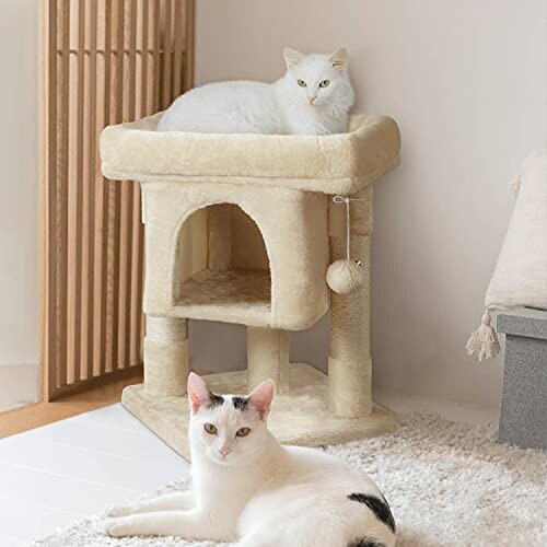 Two cats on a beige cat tree, one lying on top and one sitting on the floor.
